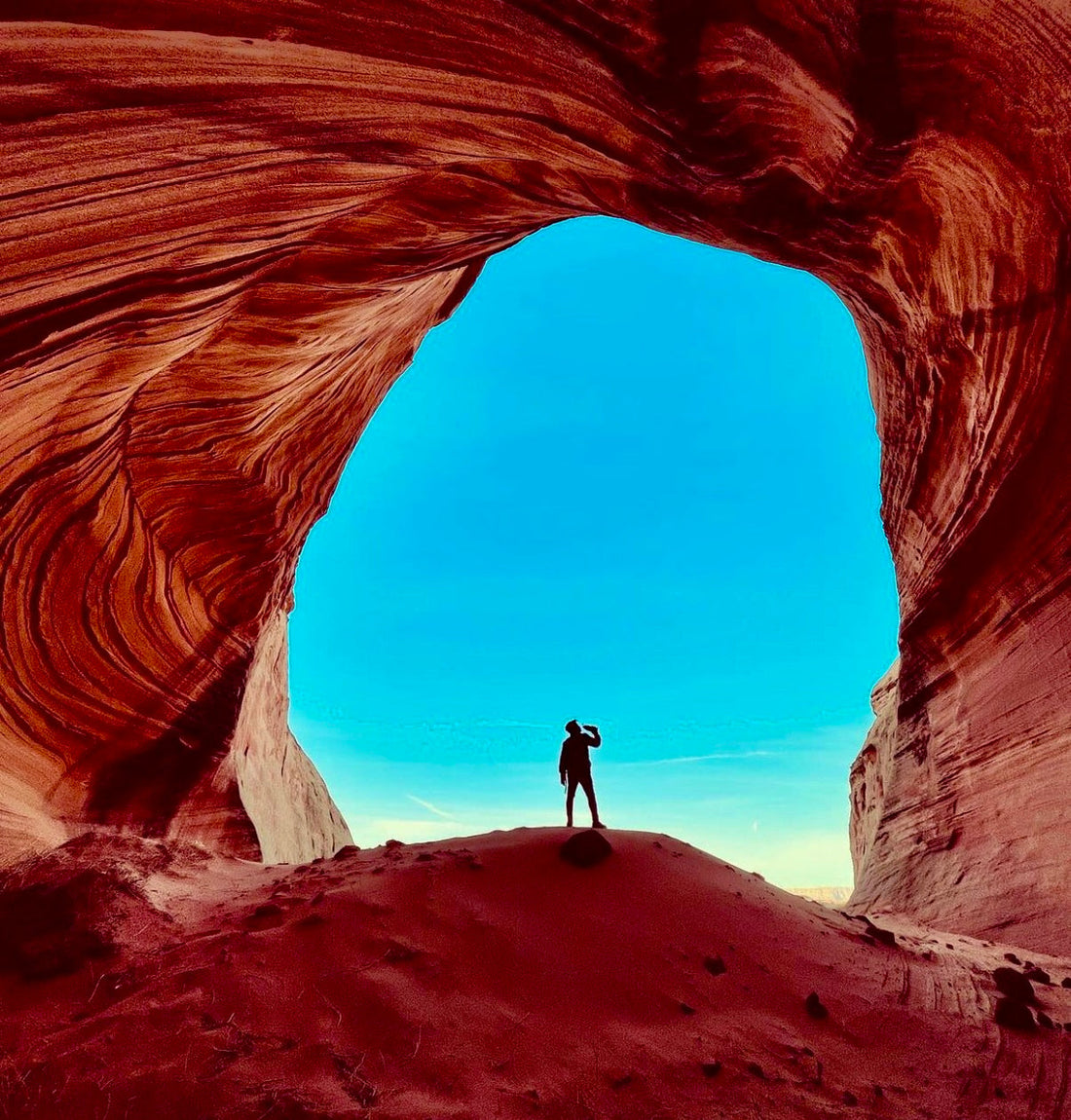 The Art of Showing Up :  How a Vision Came to Life