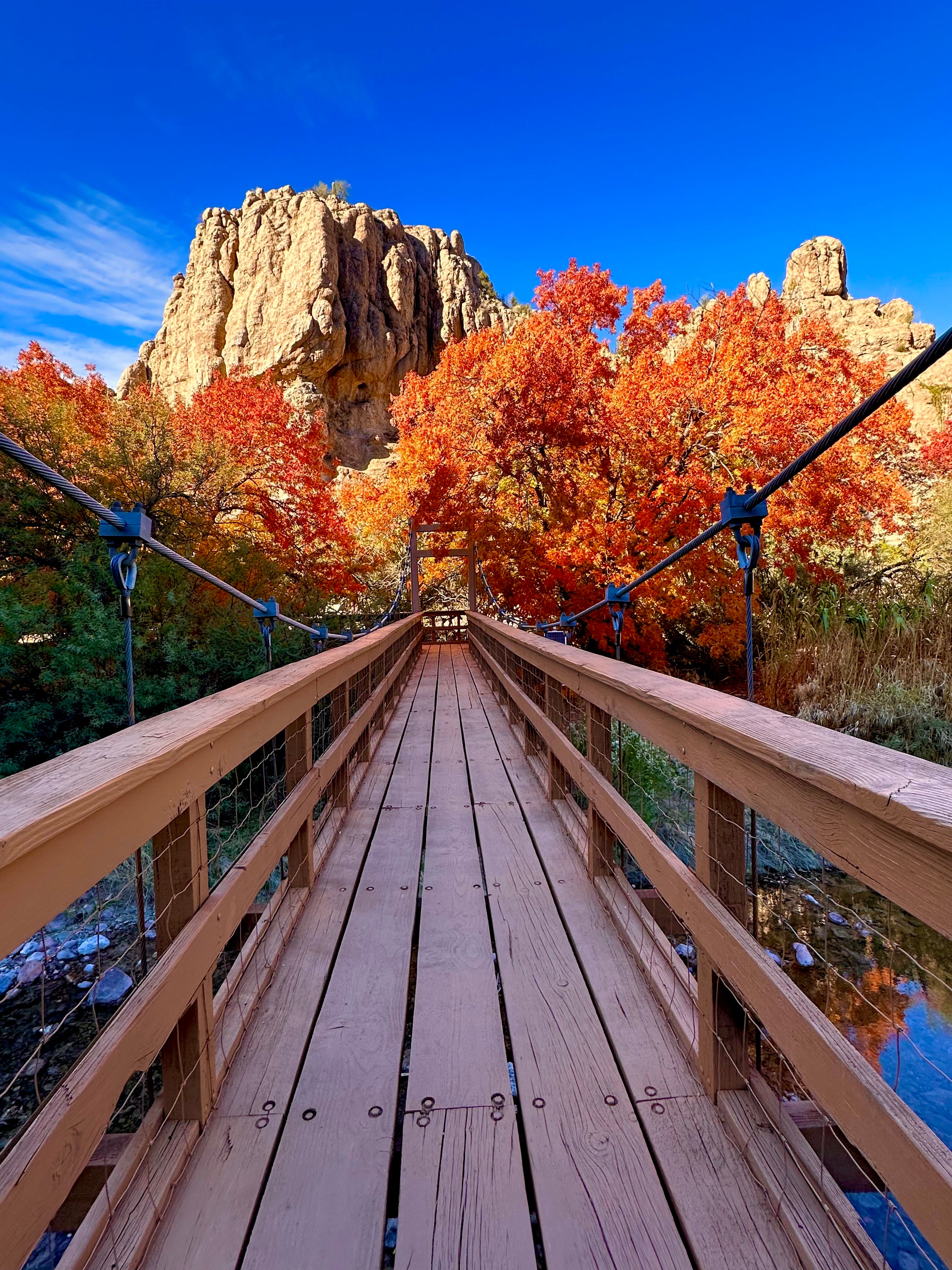 Boyce Thompson Arboretum, Superior, AZ